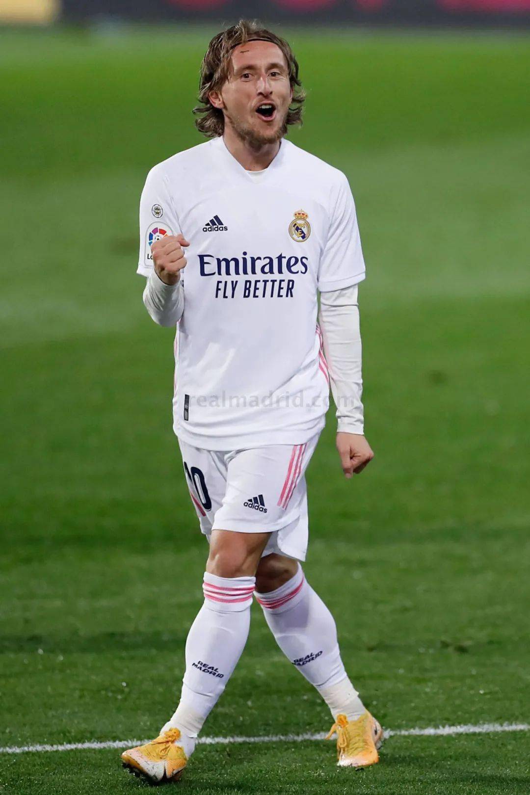 但无法取代 但无法取代